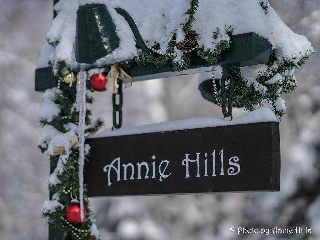 Annie Hills Bed & Breakfast Татешина Екстериор снимка